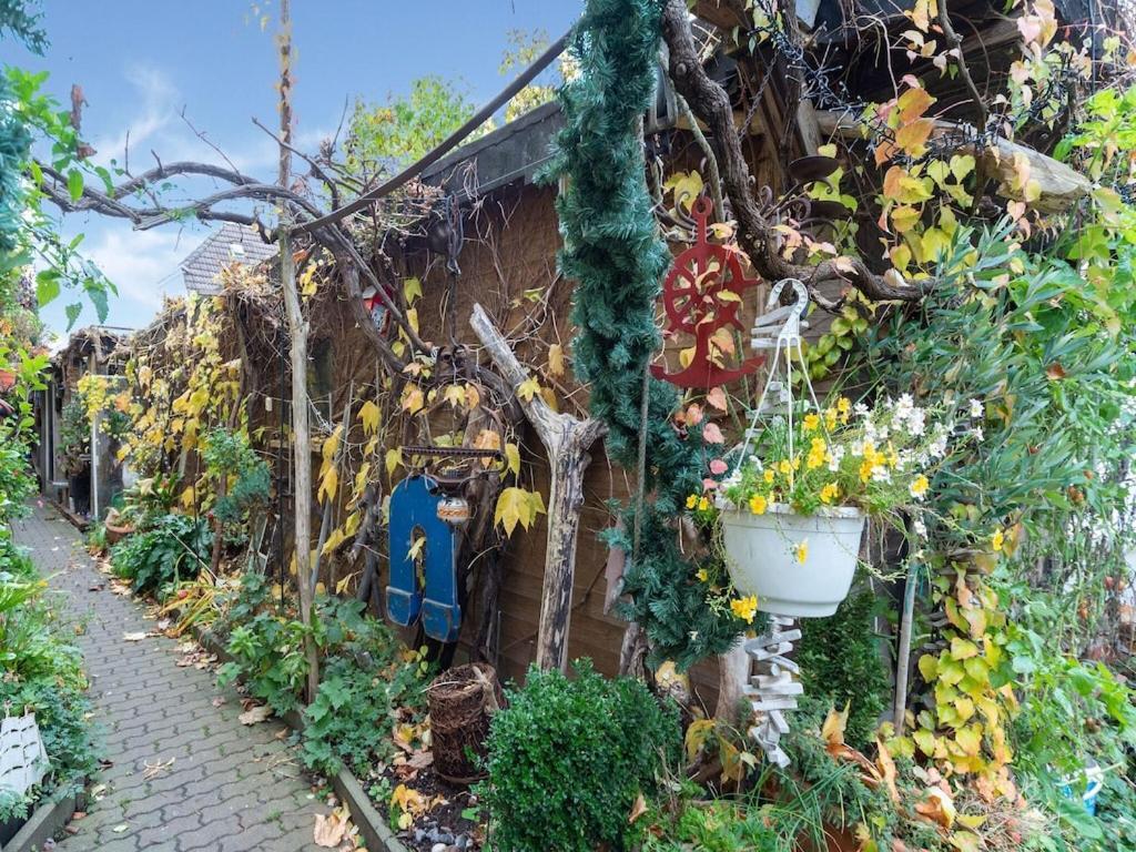 Holiday Flat With Garden In Wißmar Zewnętrze zdjęcie